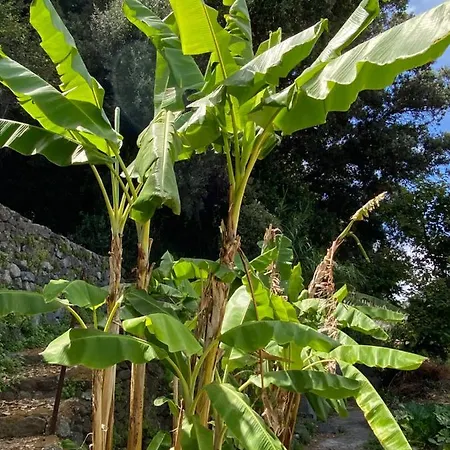 Nelinda Waterfront Bed and breakfast Casamicciola Terme