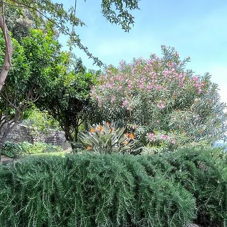 Nelinda Waterfront Casamicciola Terme