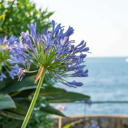 Bed and breakfast Nelinda Waterfront 4*