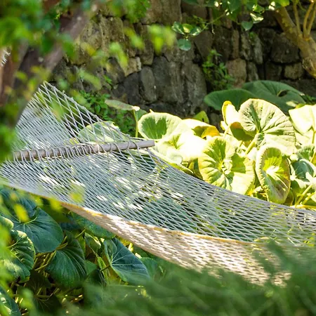 Nelinda Waterfront Casamicciola Terme